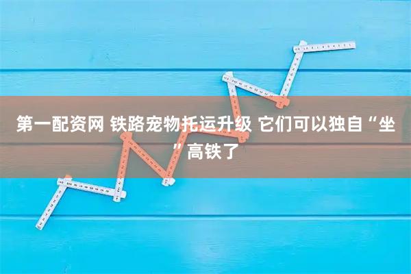 第一配资网 铁路宠物托运升级 它们可以独自“坐”高铁了