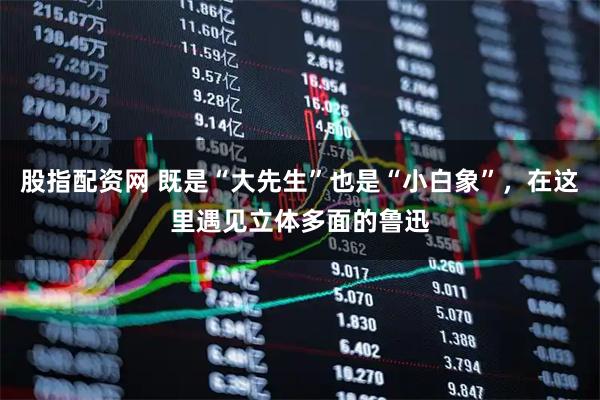 股指配资网 既是“大先生”也是“小白象”，在这里遇见立体多面的鲁迅